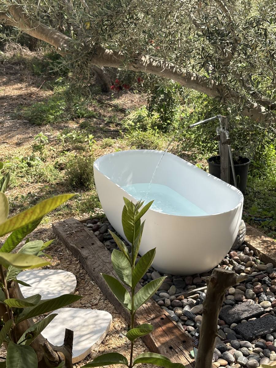 Outdoor bath filling with water under an olive tree